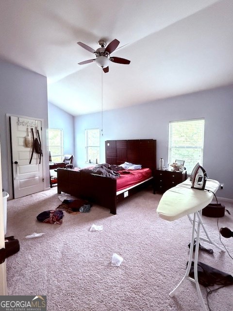 2202 Golden Eagle Drive Locust Grove - 16