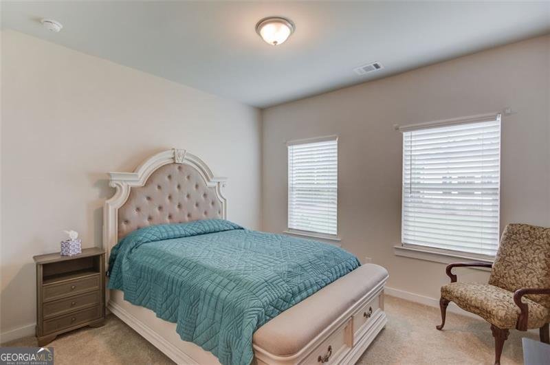 2927 RAMBLER Drive Loganville - 15