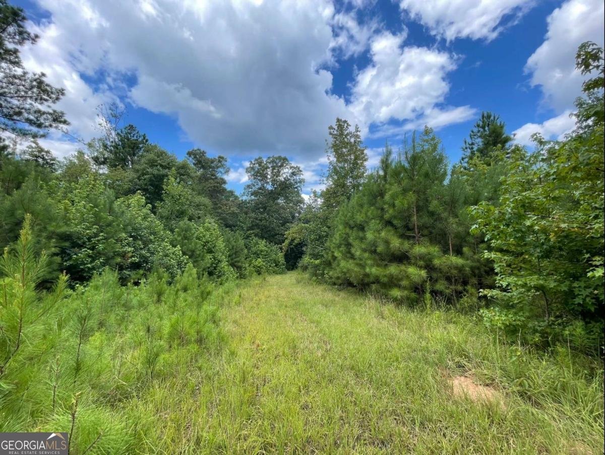 709 Melear Road Bowdon - 20