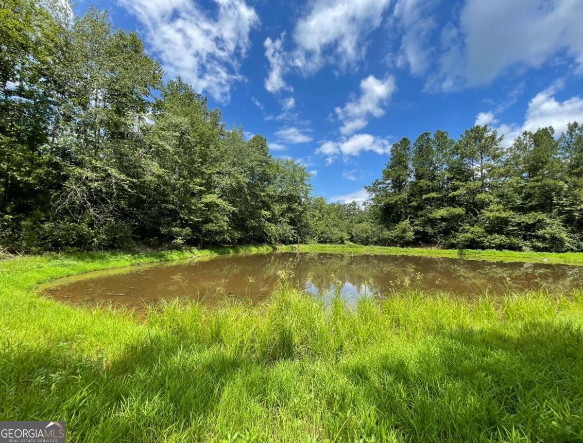 709 Melear Road Bowdon - 24