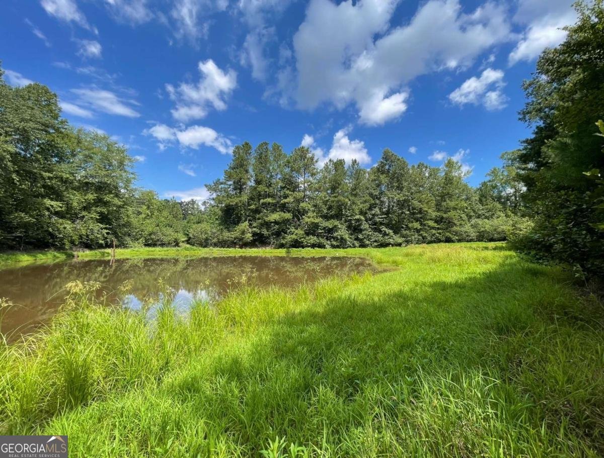 709 Melear Road Bowdon - 25