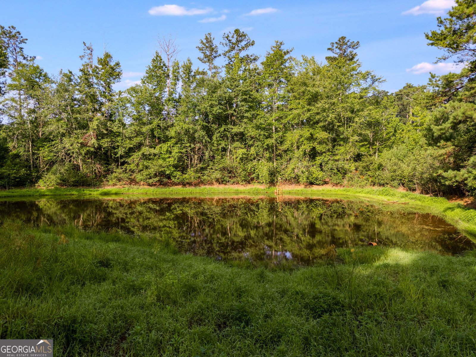 709 Melear Road Bowdon - 26