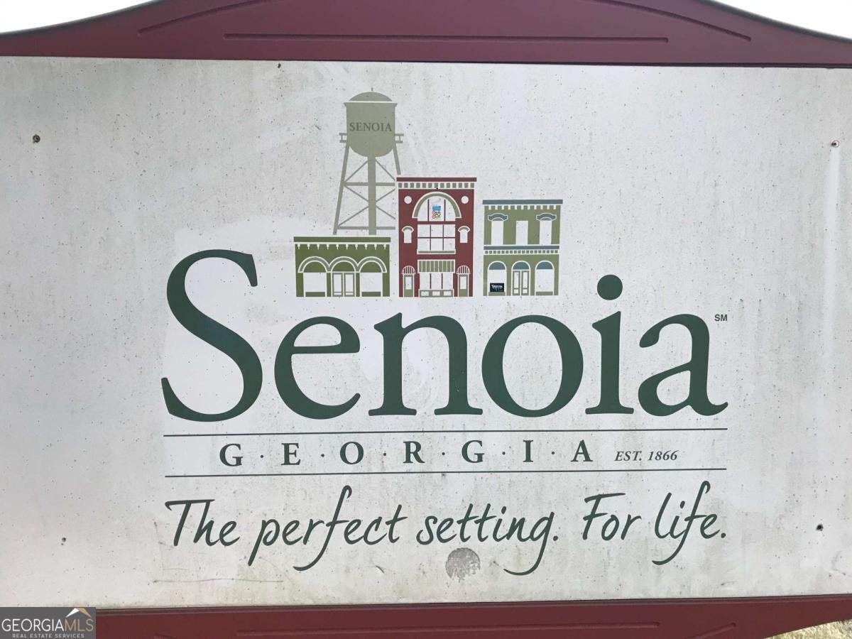 118 Fire Creek Trail Senoia - 81