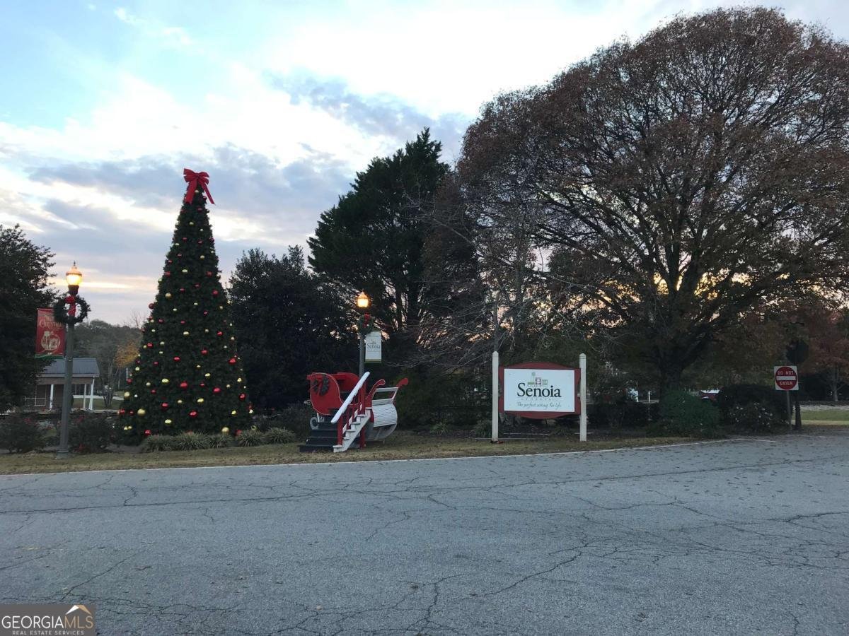 118 Fire Creek Trail Senoia - 86