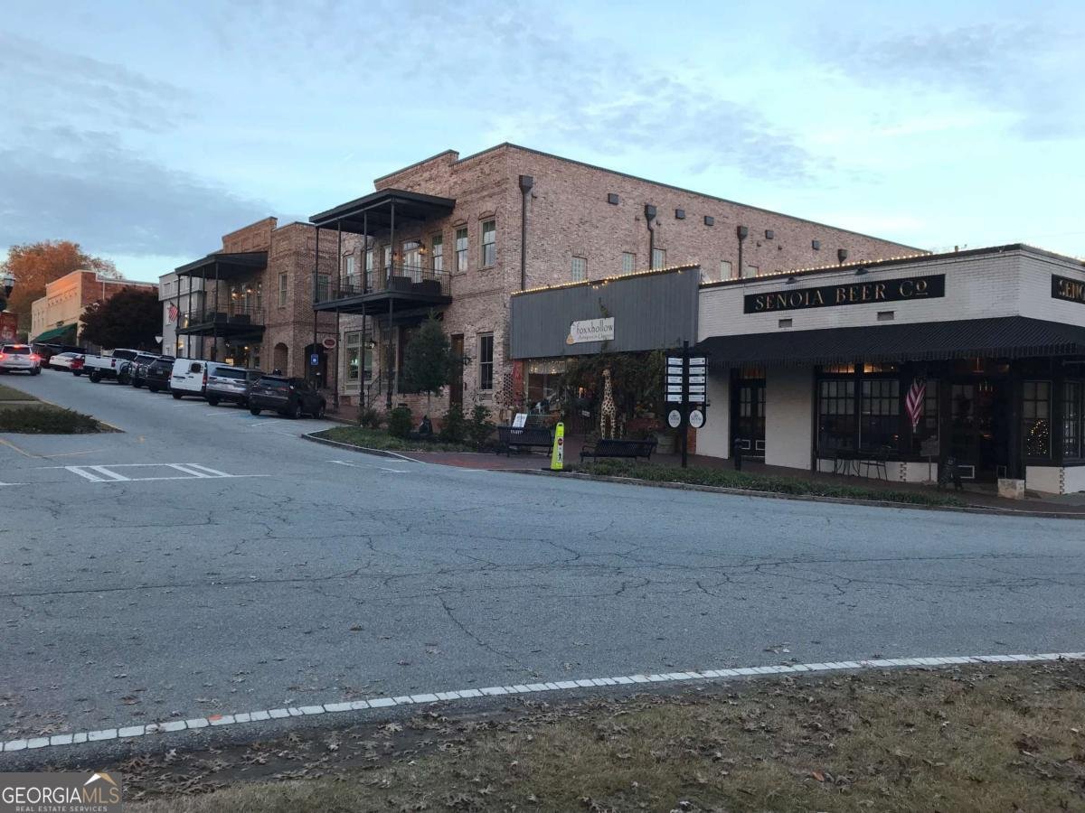 118 Fire Creek Trail Senoia - 88