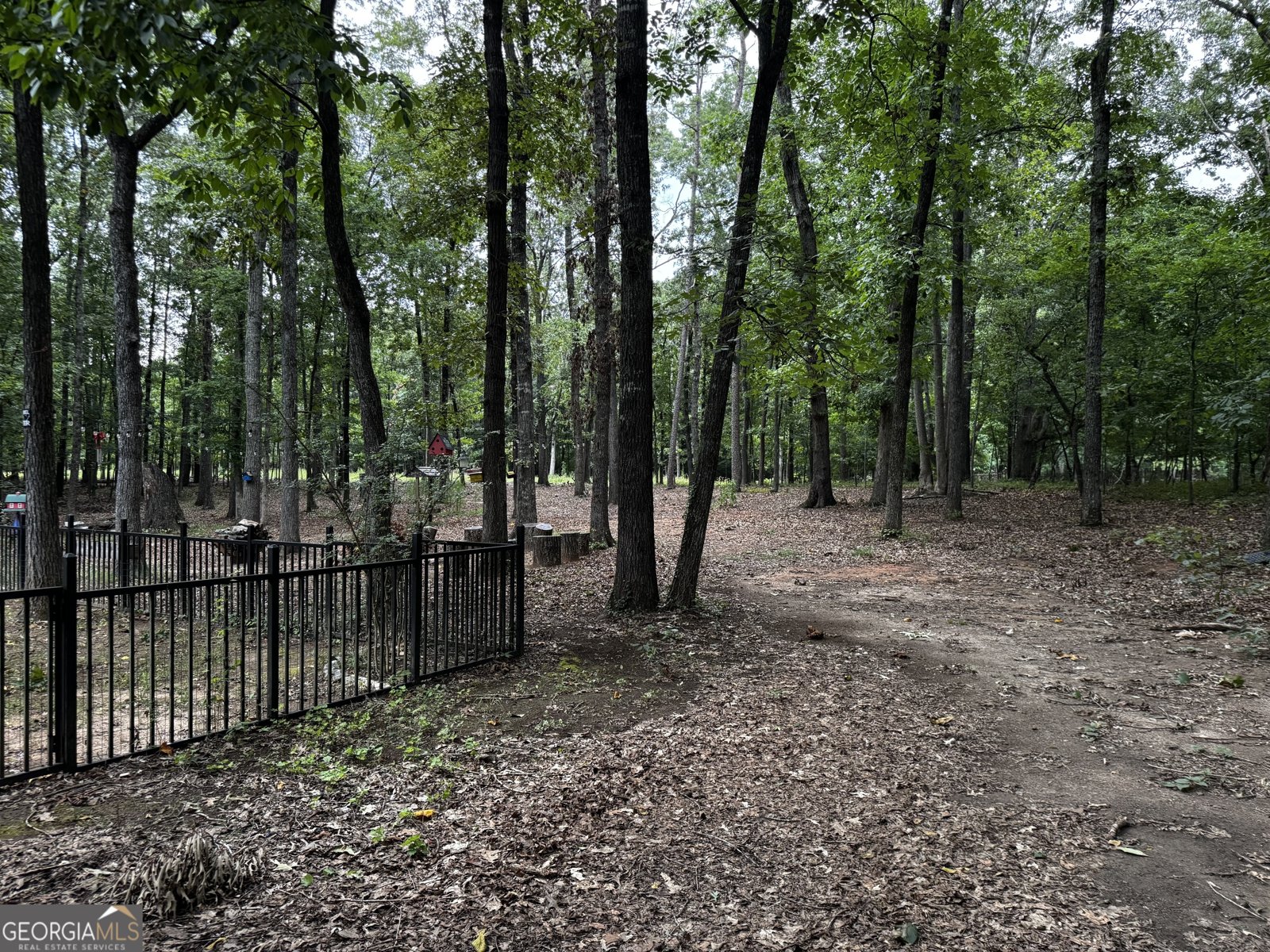 909 Lawshe Road Senoia - 1