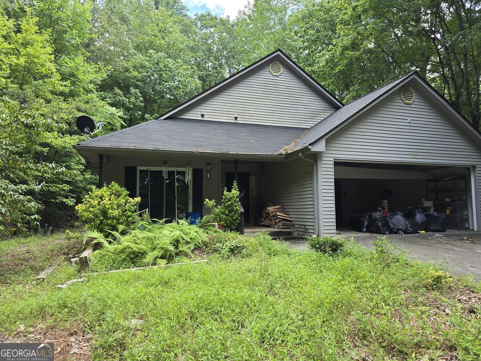 362 Idylwild Lane Tiger - 1