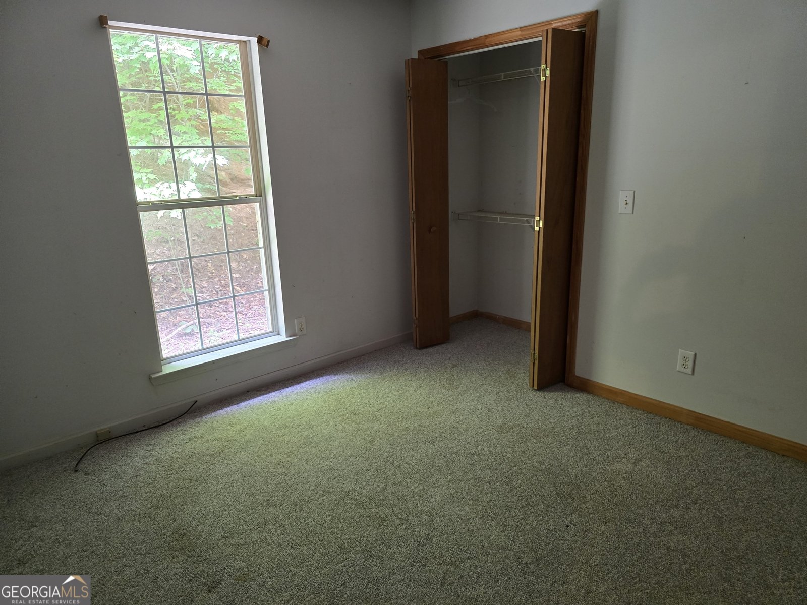 362 Idylwild Lane Tiger - 14