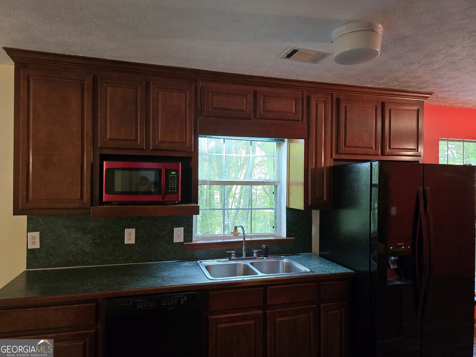 362 Idylwild Lane Tiger - 5