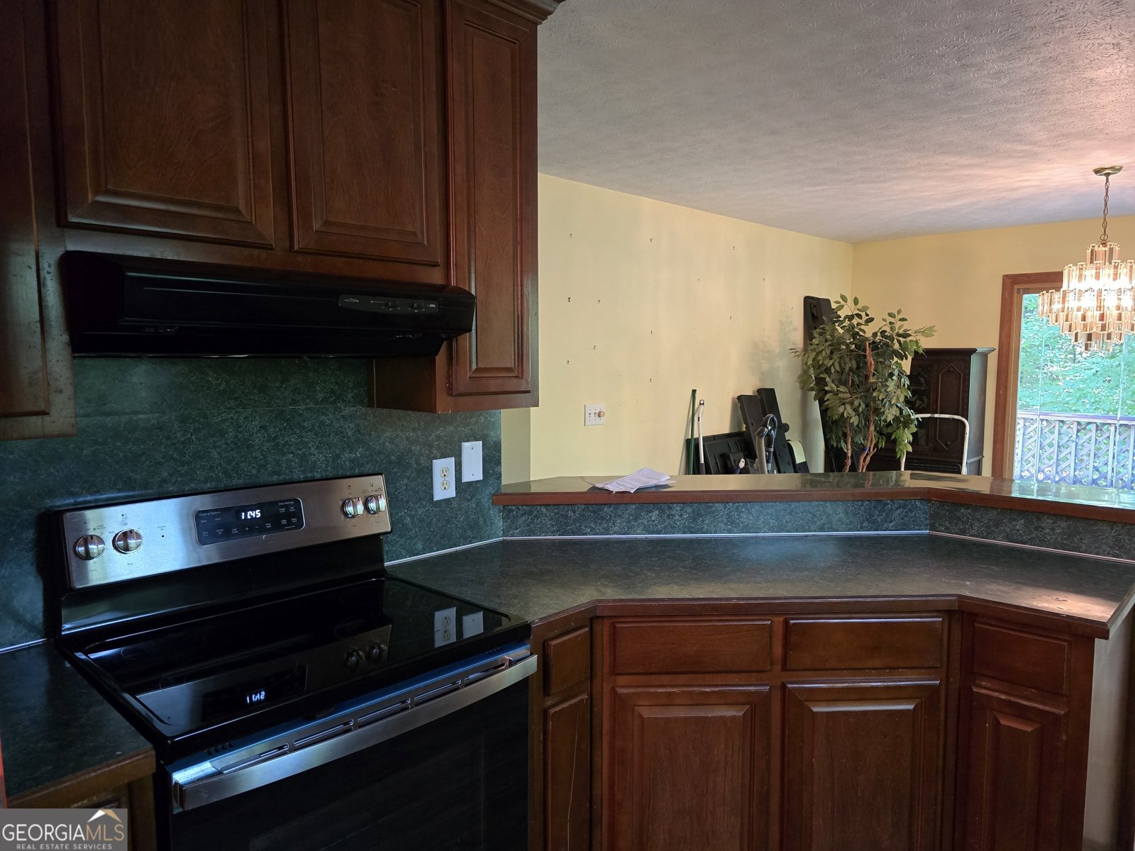 362 Idylwild Lane Tiger - 6