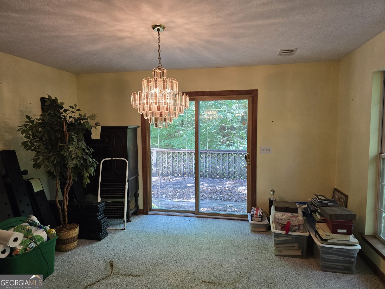 362 Idylwild Lane Tiger - 8