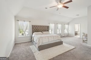 3707 Broadwick Lane Lithonia - 11