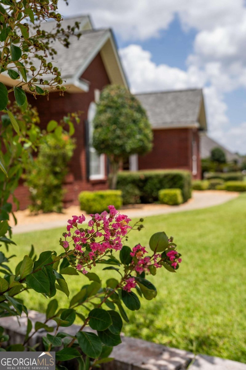 3930 Golfview Drive Blackshear - 4