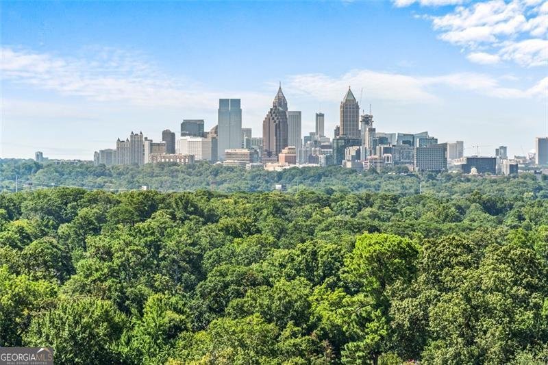 2881 Peachtree Road Atlanta - 46