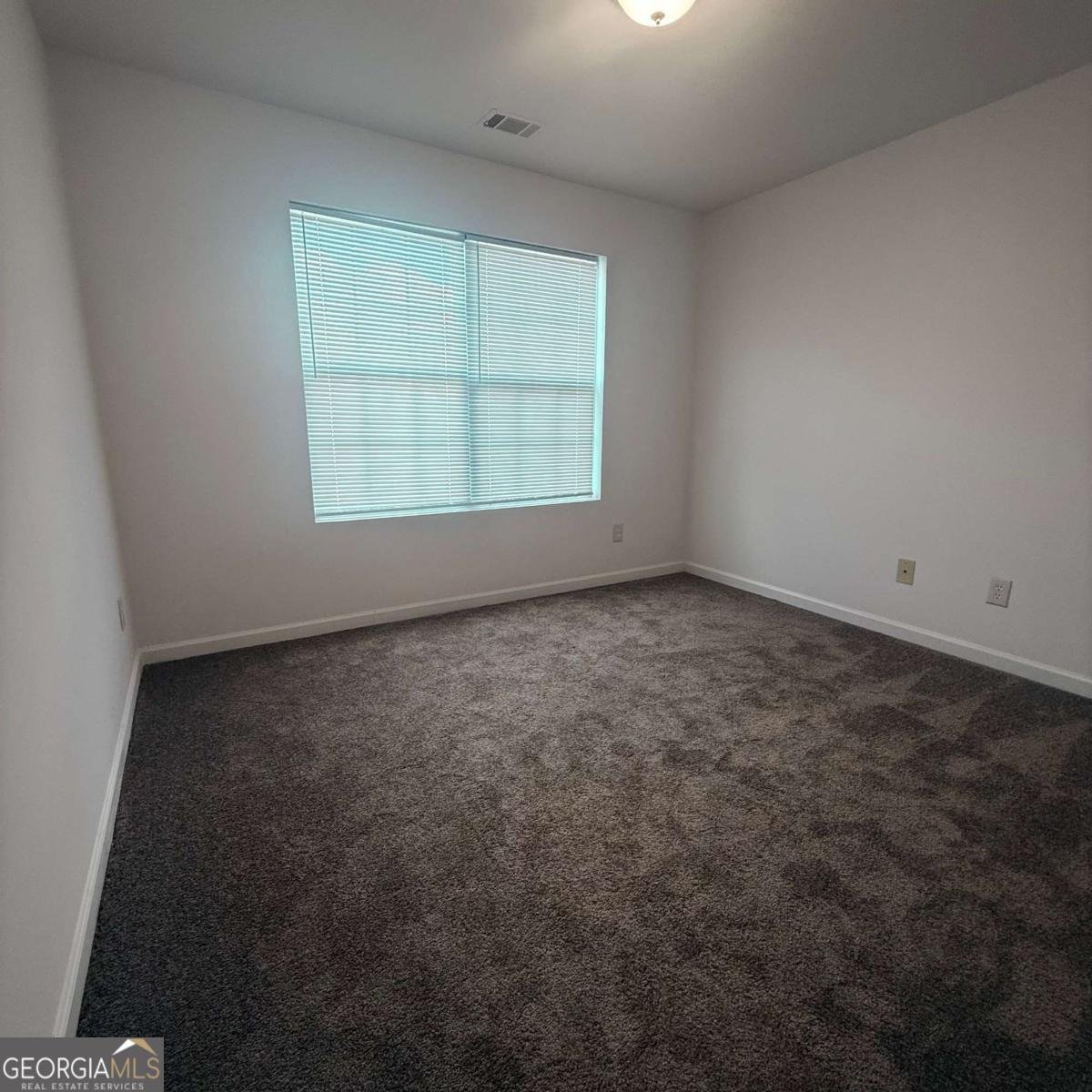222 Village Drive Loganville - 14