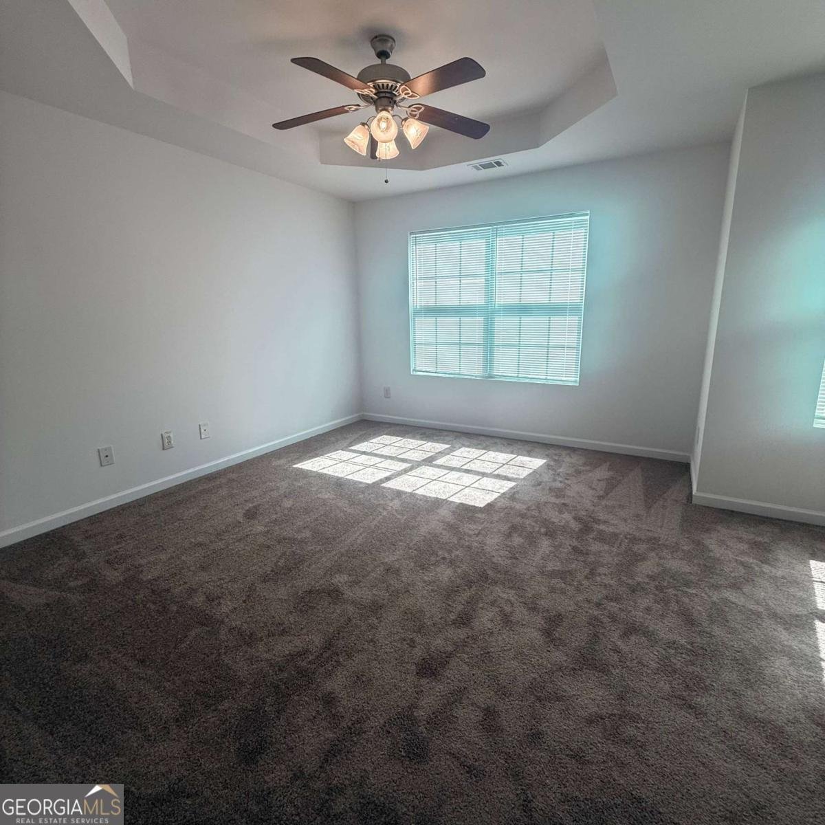222 Village Drive Loganville - 19