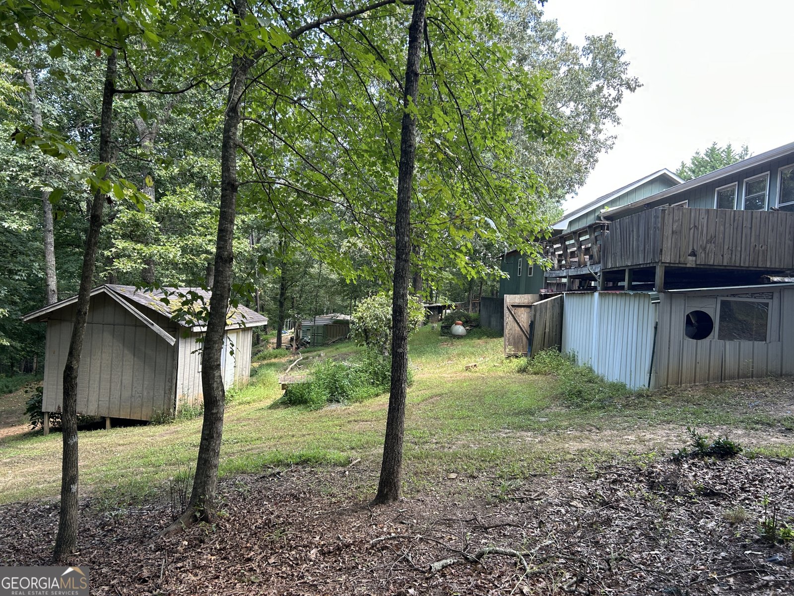 183 Golden Valley Drive Demorest - 11