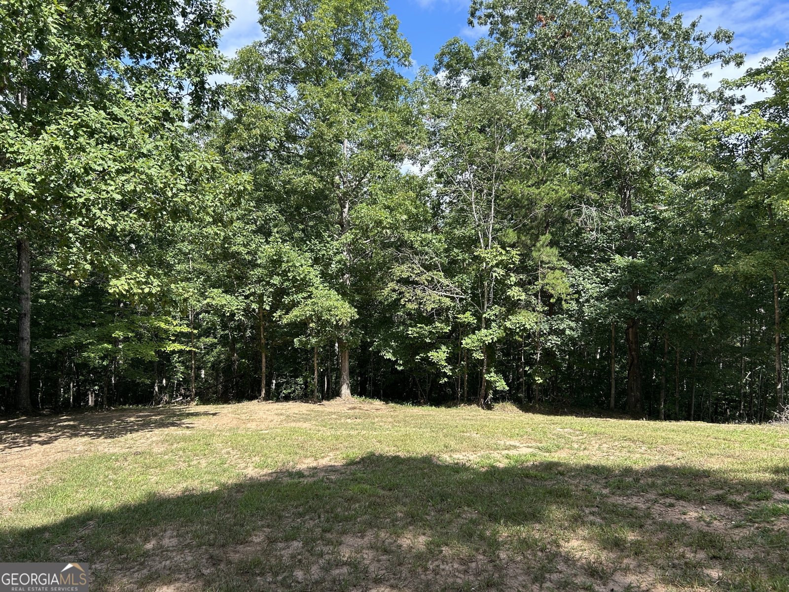 183 Golden Valley Drive Demorest - 6