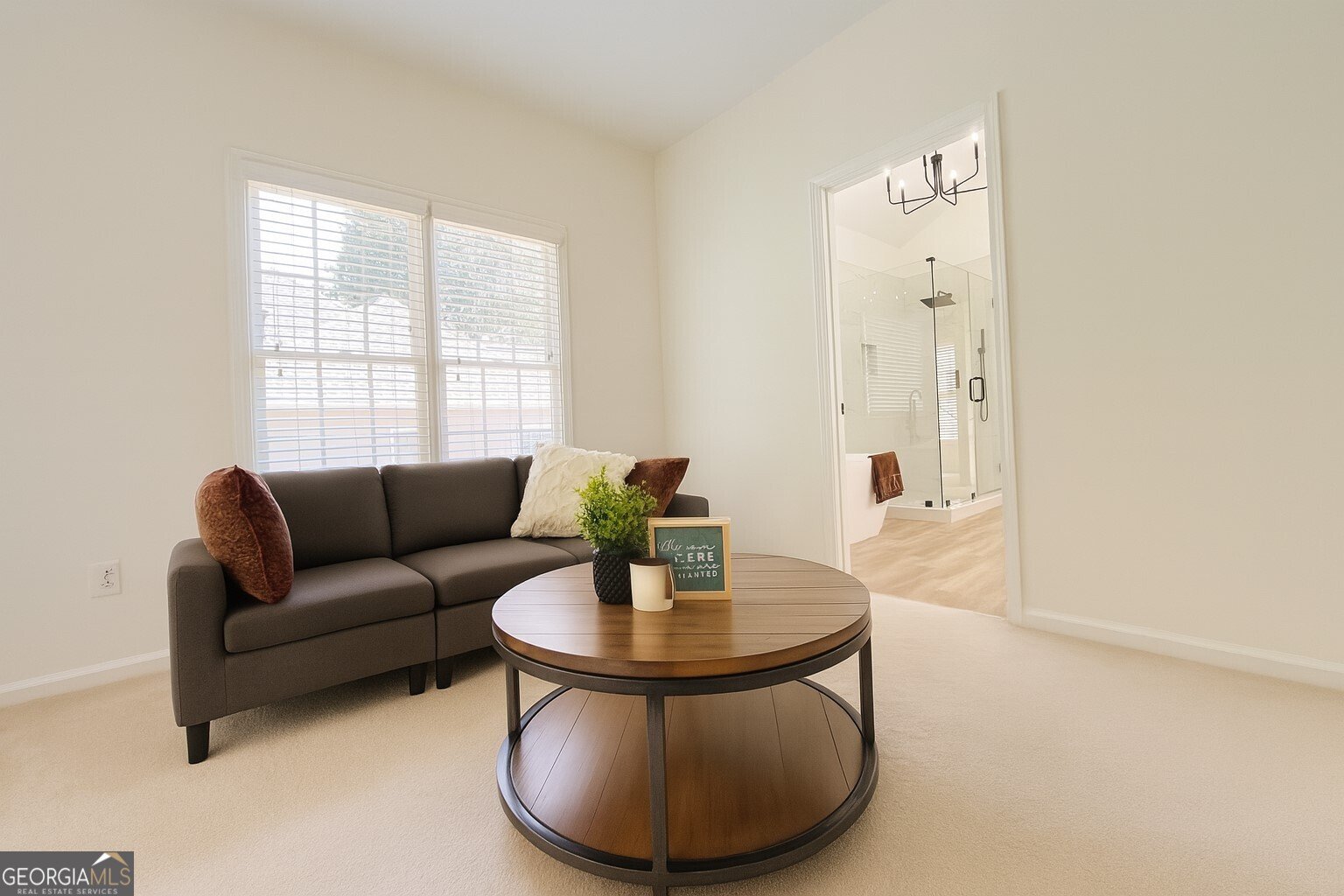 1595 Hawkins Cove Trail Roswell - 29