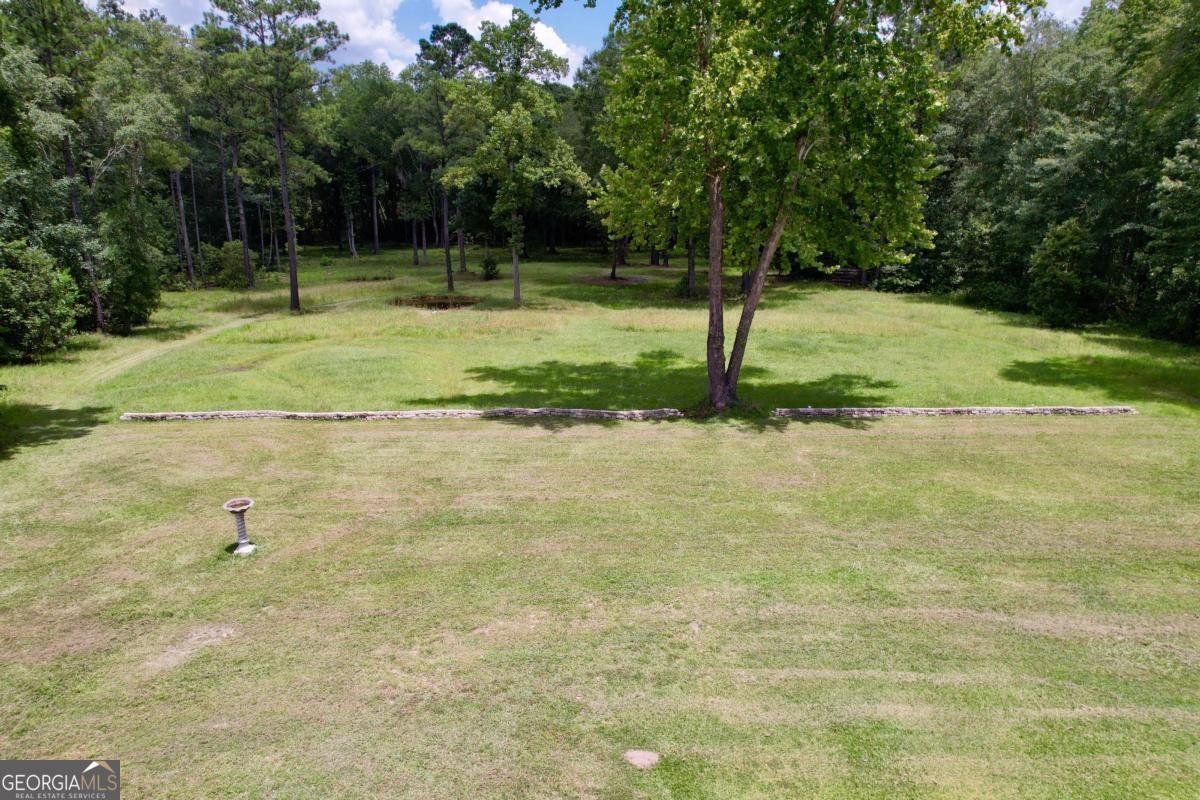 1225 Hampton Drive Statesboro - 38