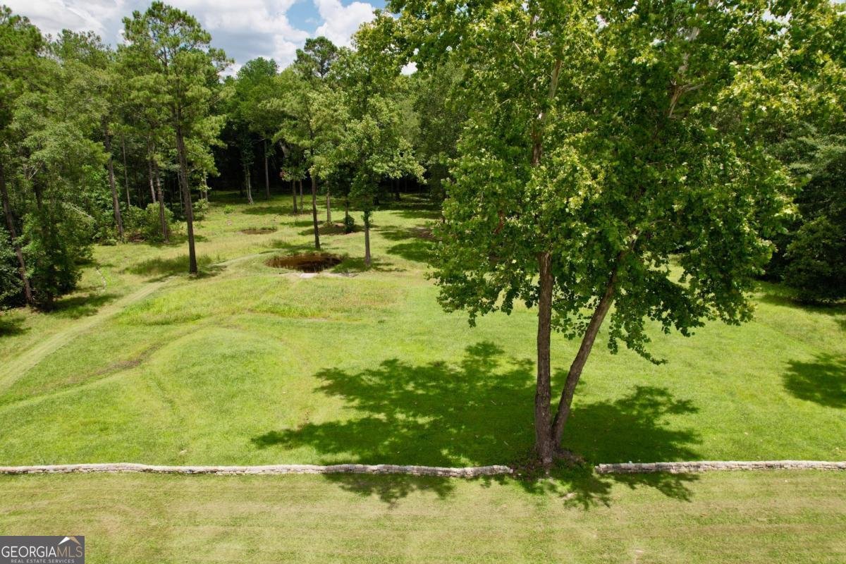 1225 Hampton Drive Statesboro - 39