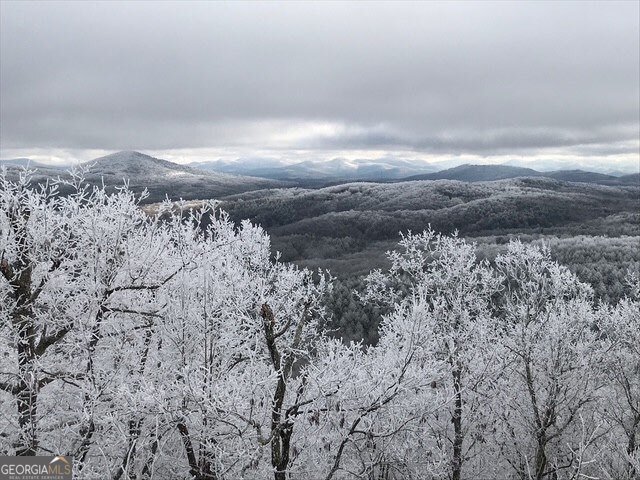 220 Eagle Ridge Morganton - 42