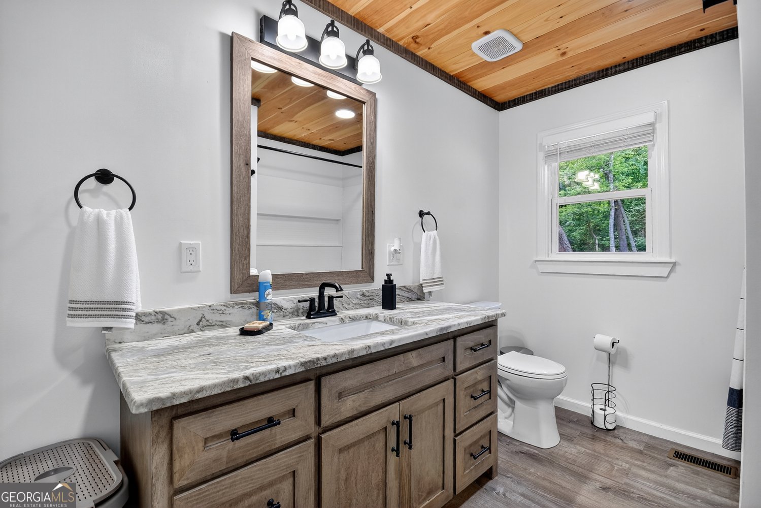 201 Milsaps Circle Epworth - 12