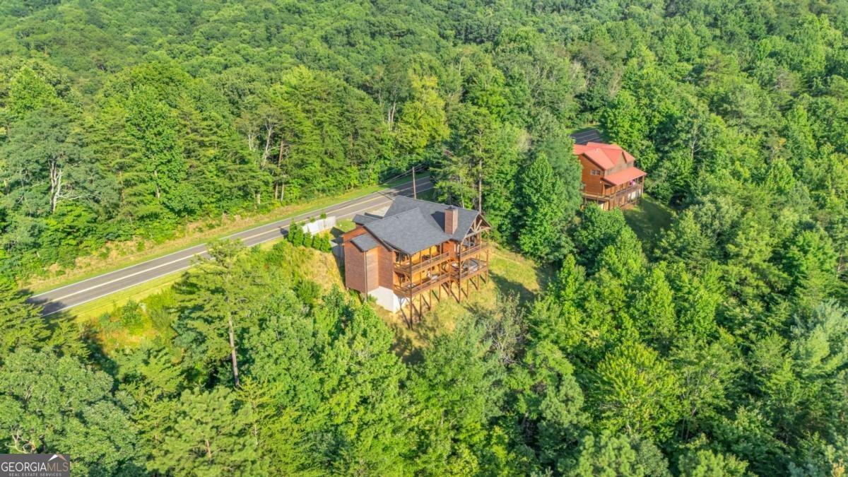 3804 Aska Road Blue Ridge - 55
