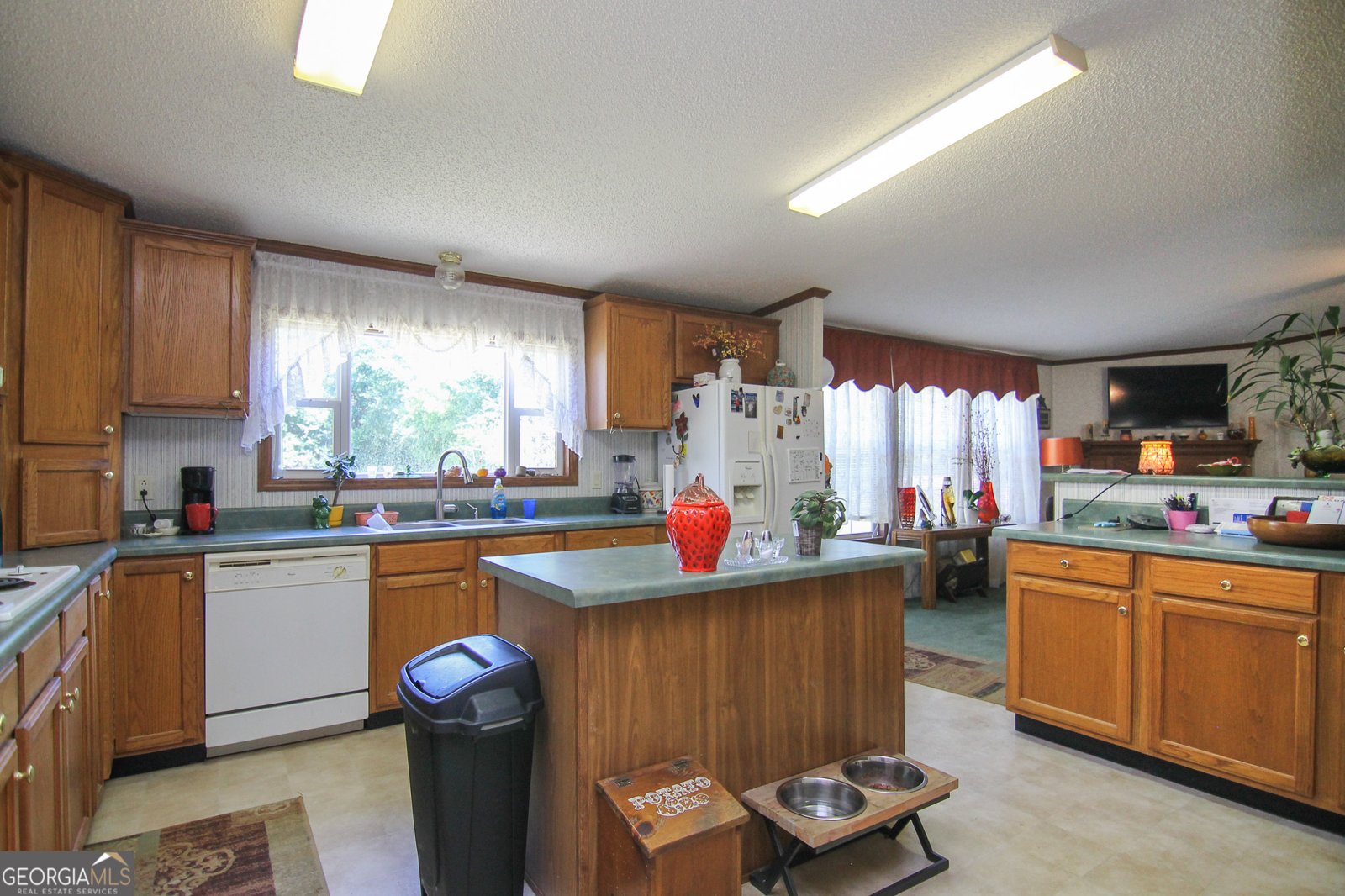 339 Brighton Drive Byron - 10
