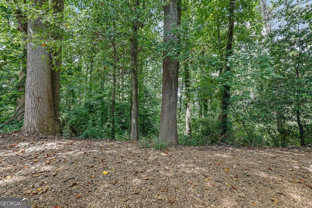 3125 Reeves Street Smyrna - 28