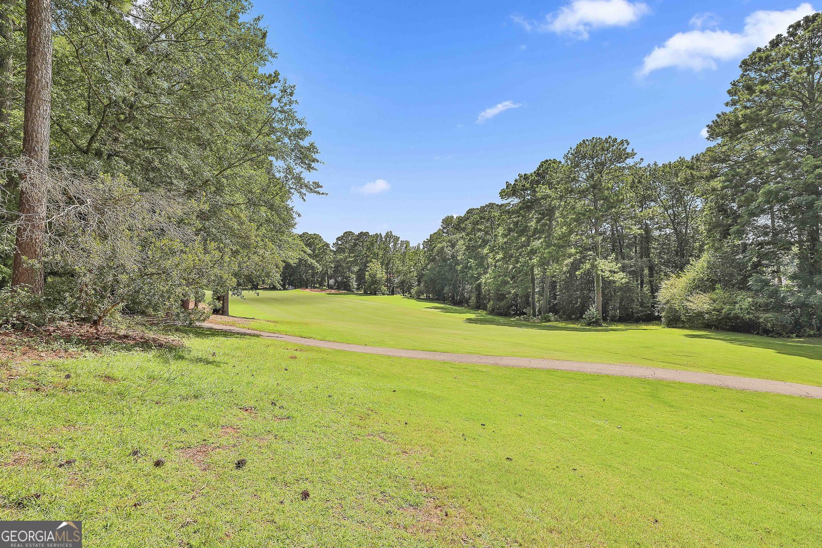 905 White Oak Drive Newnan - 37