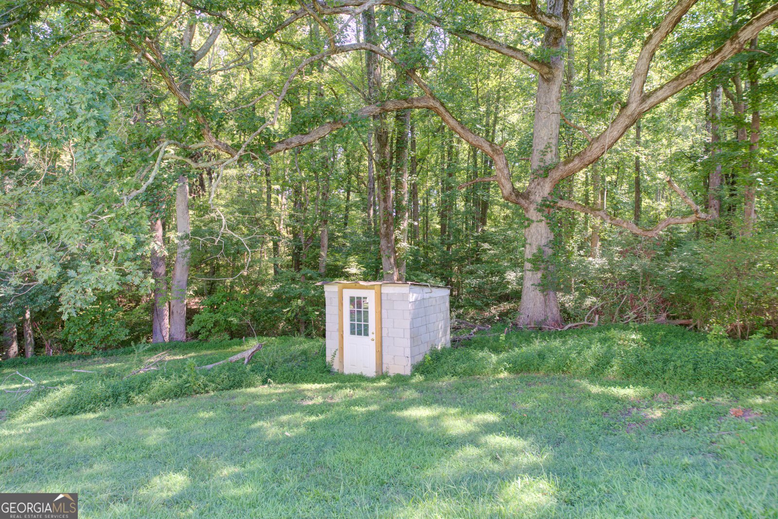 7335 Westray Road Cumming - 19
