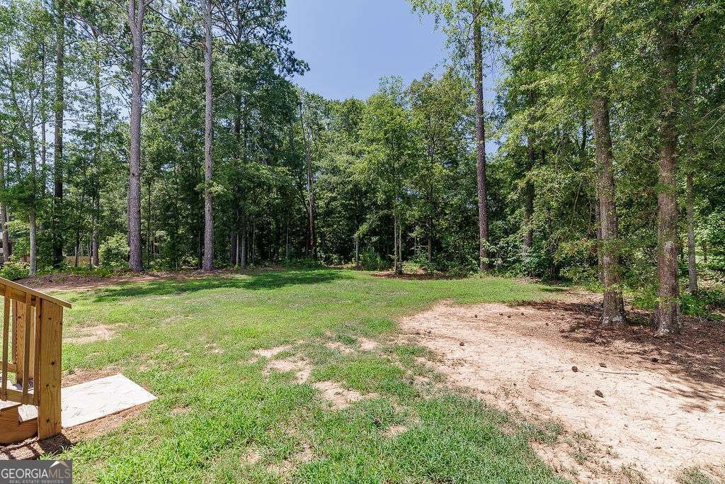 157 South Main Street Watkinsville - 45