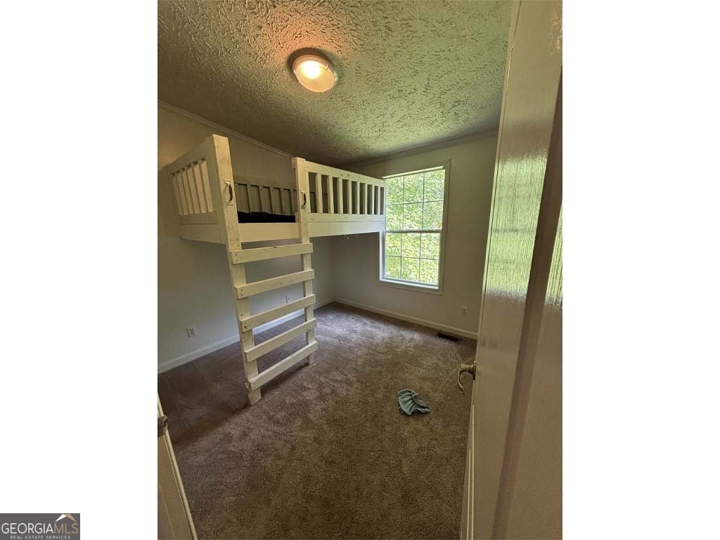 163 Jasmin Court Ellijay - 11
