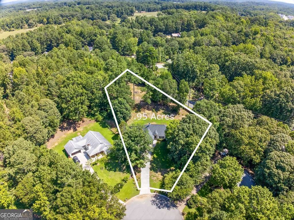343 Ridge Way Braselton - 4