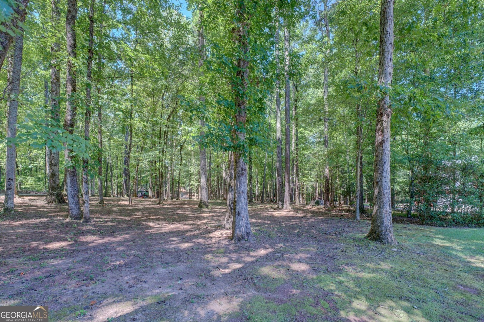120 Kinloch Court Covington - 55