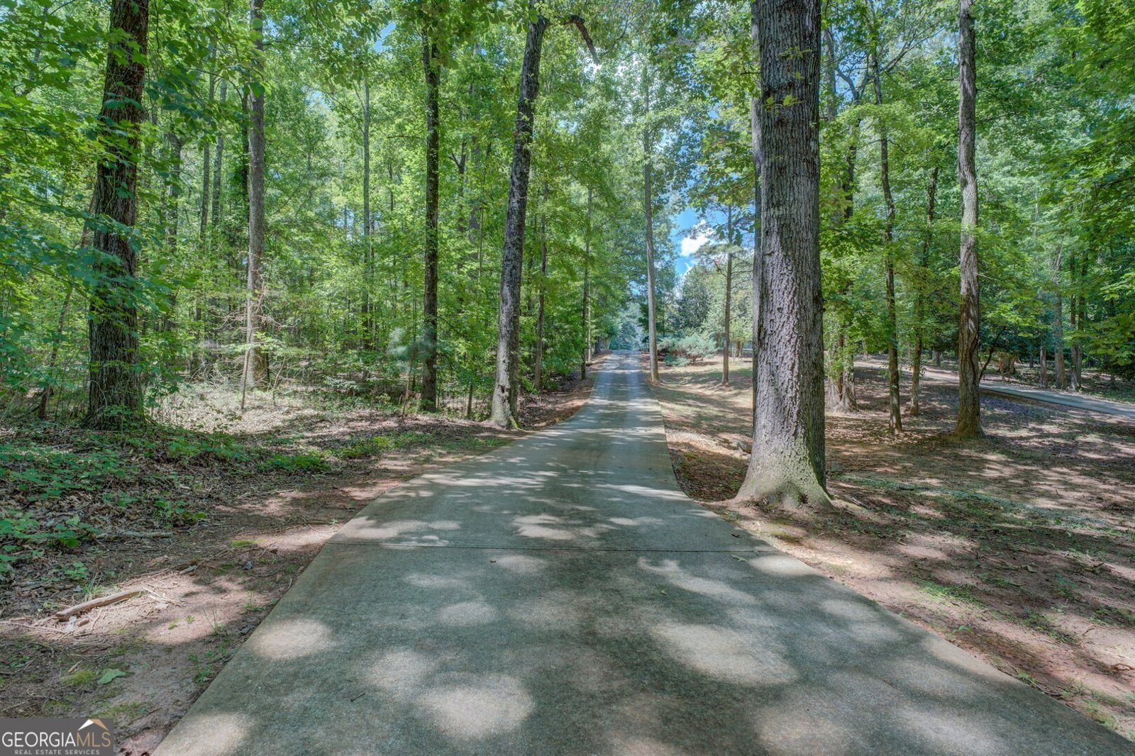 120 Kinloch Court Covington - 64
