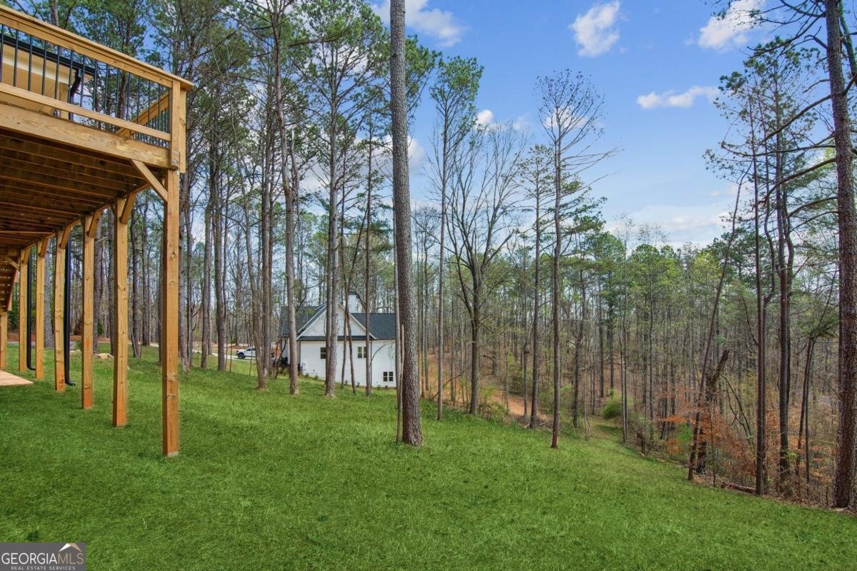 2211 Hwy 9 South Dawsonville - 23