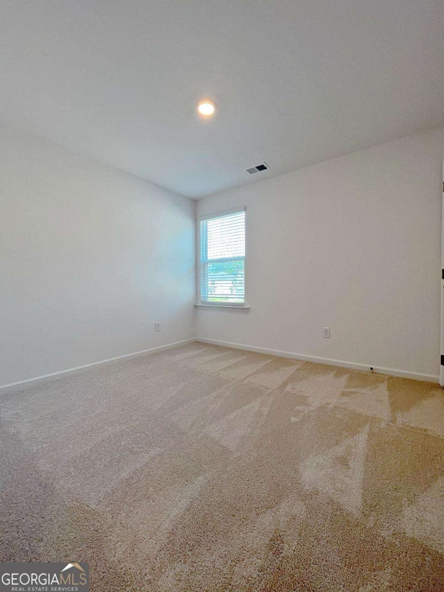 376 Golden Eagle Parkway Braselton - 22