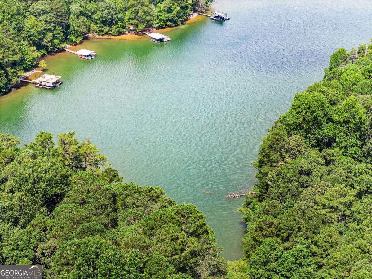272 INDIAN COVE Drive Dawsonville - 1