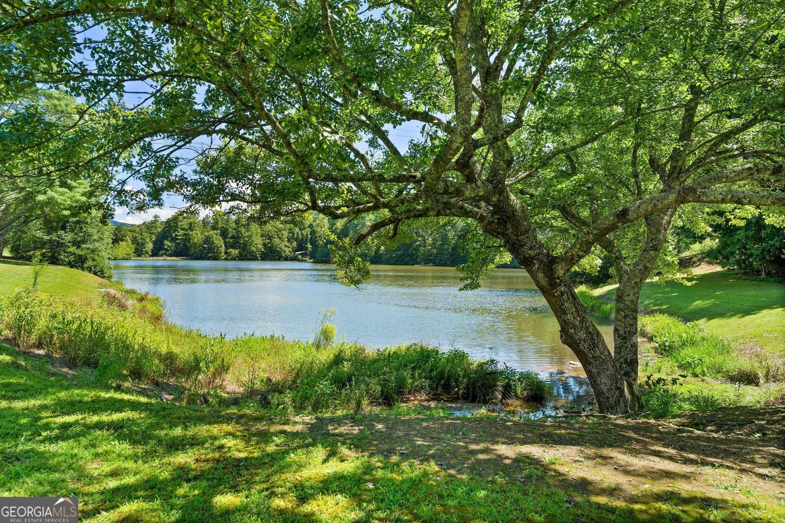 1500 Sautee Trail Sautee Nacoochee - 2