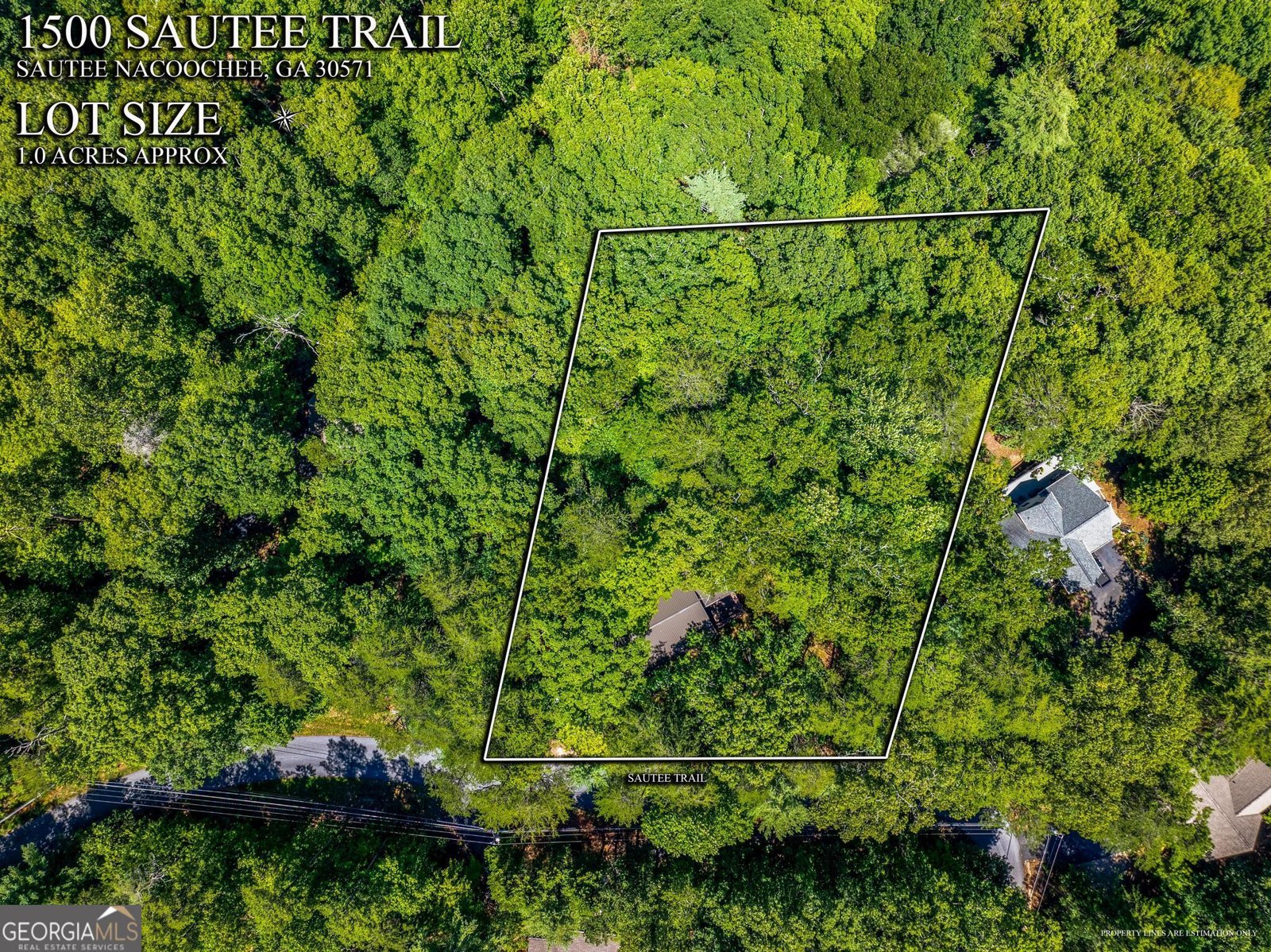 1500 Sautee Trail Sautee Nacoochee - 27