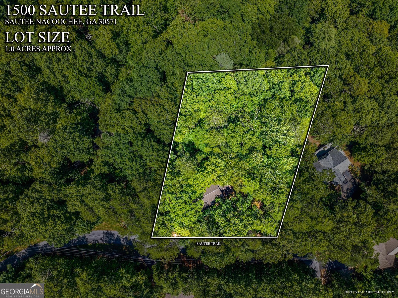 1500 Sautee Trail Sautee Nacoochee - 31