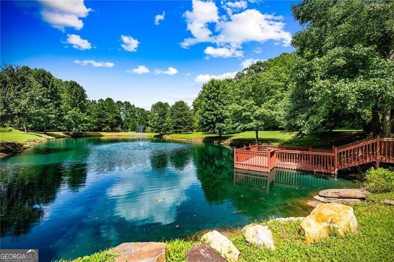 110 Deer Crest Heights Blue Ridge - 50