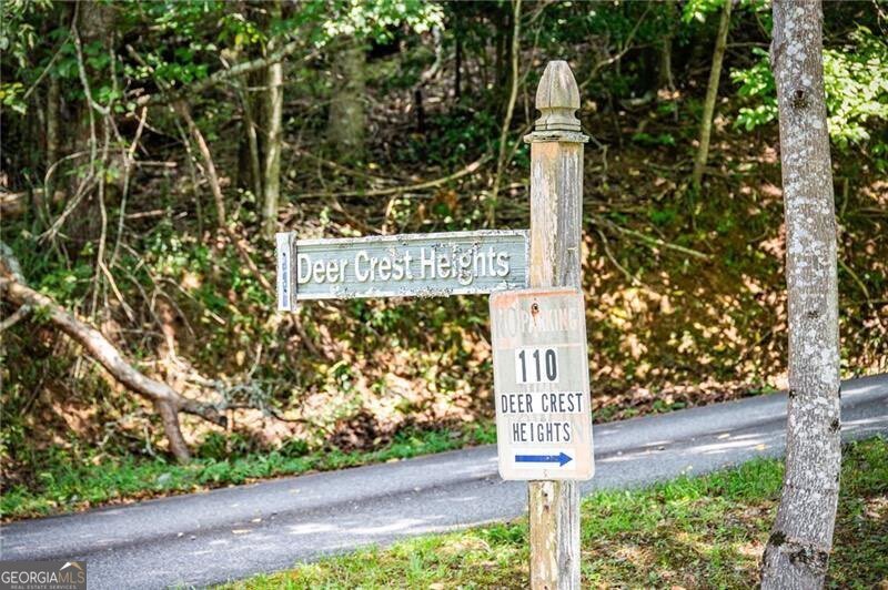 110 Deer Crest Heights Blue Ridge - 53