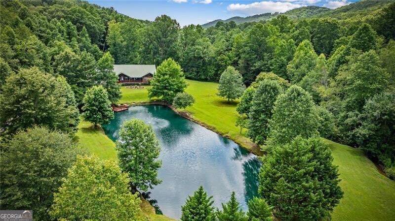 110 Deer Crest Heights Blue Ridge - 55