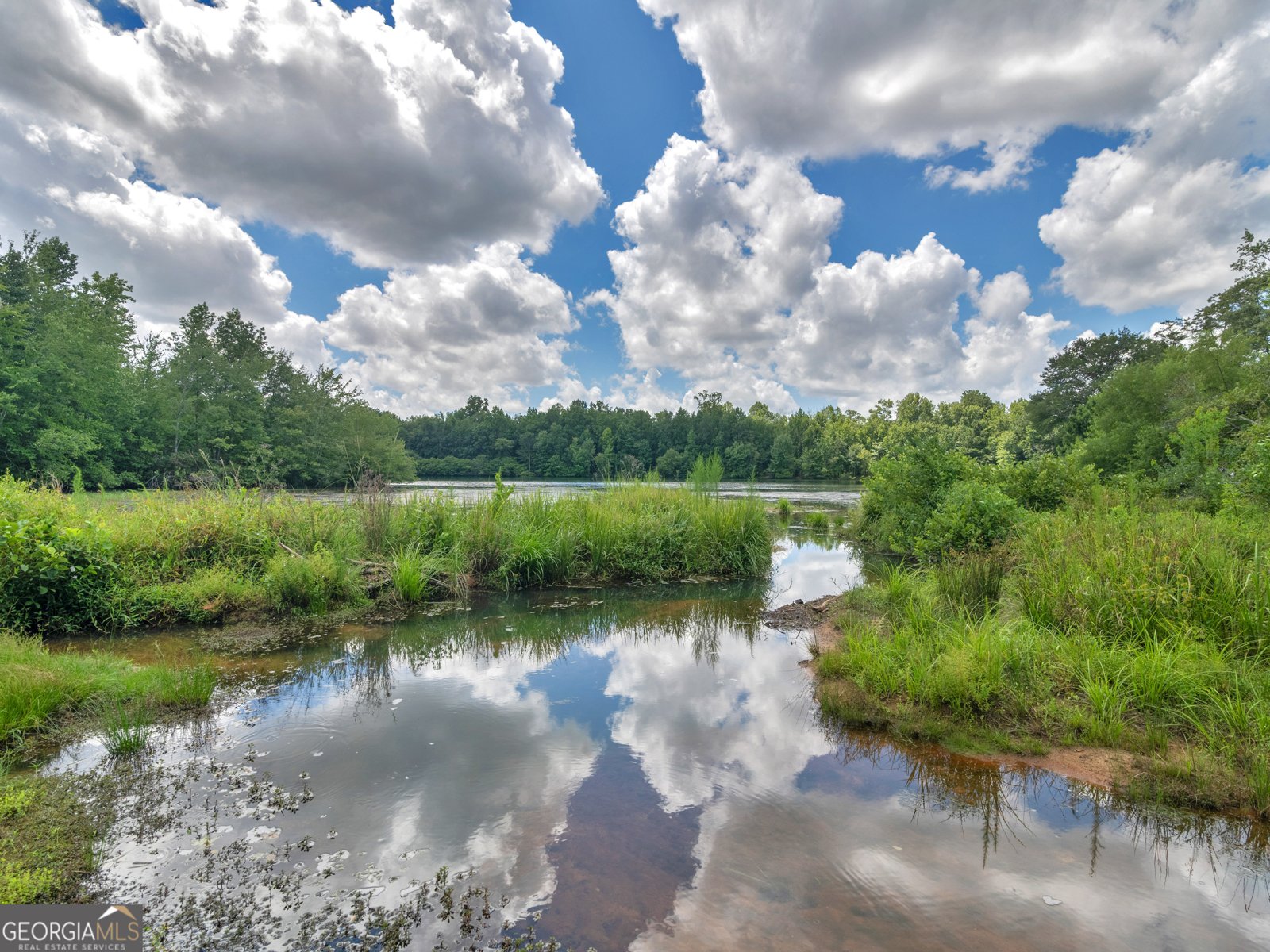 325 Lakefront Drive McDonough - 9