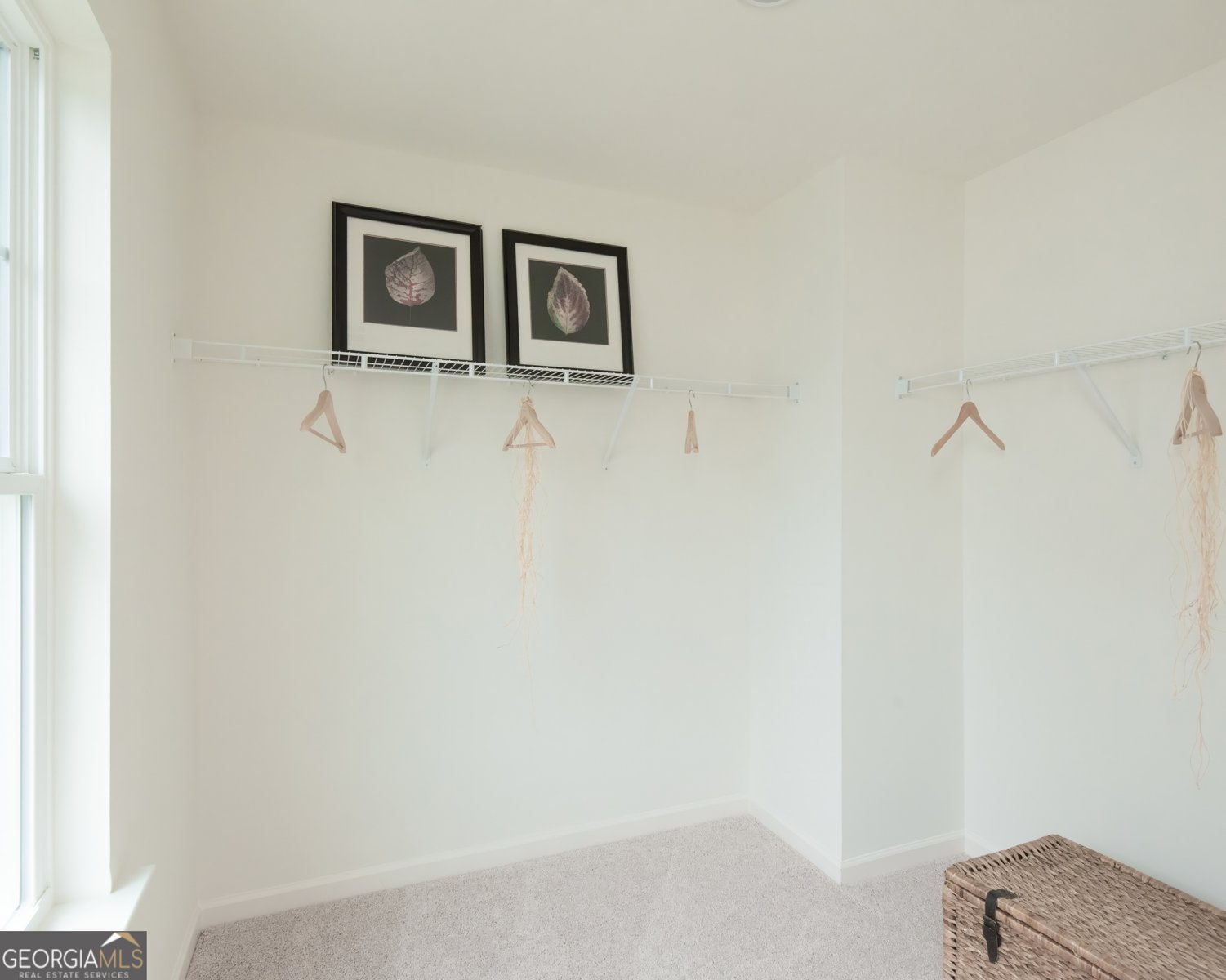 1577 Salem Drive Conyers - 28