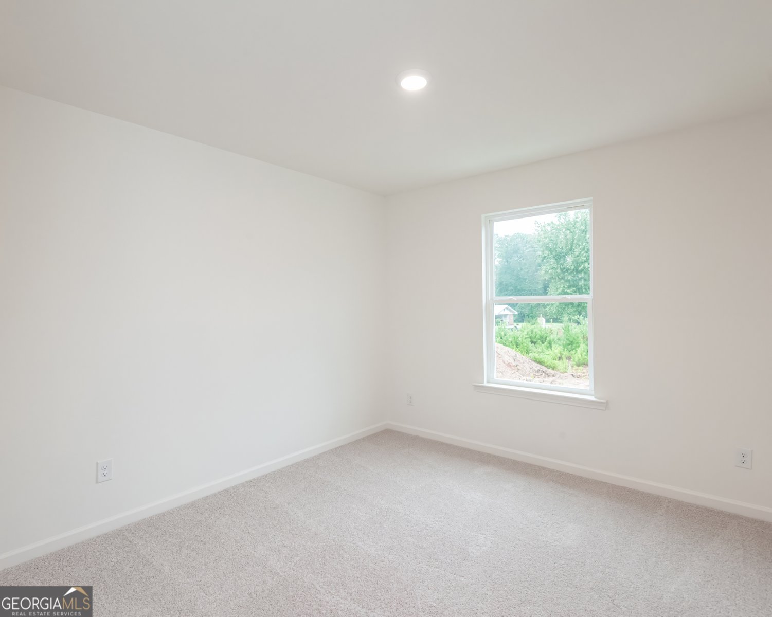1577 Salem Drive Conyers - 38