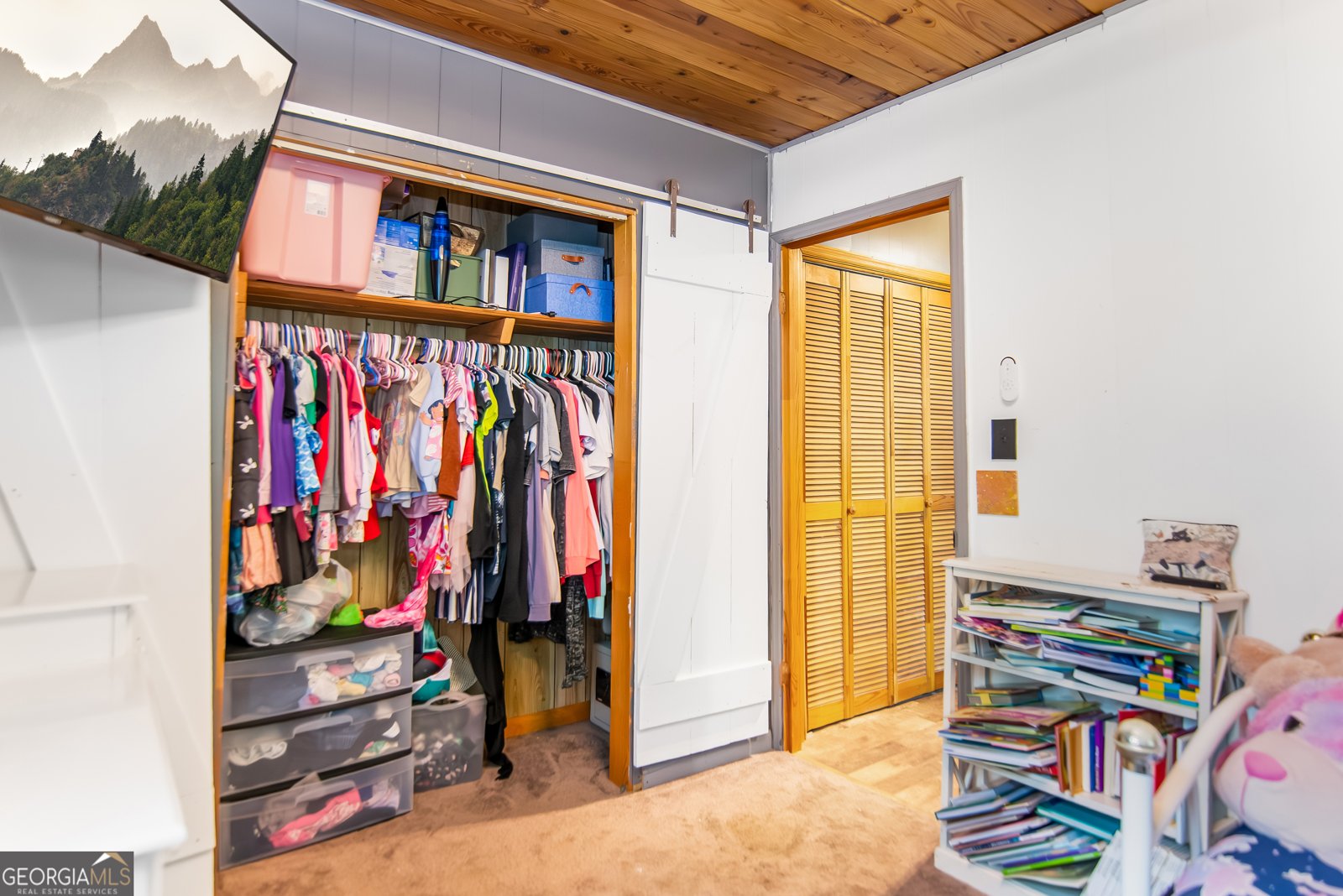 1459 Ray Mountain Road Ellijay - 16